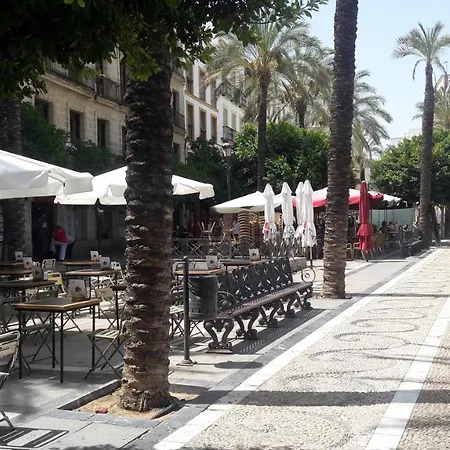 Sherryflat Cisnes جيريز