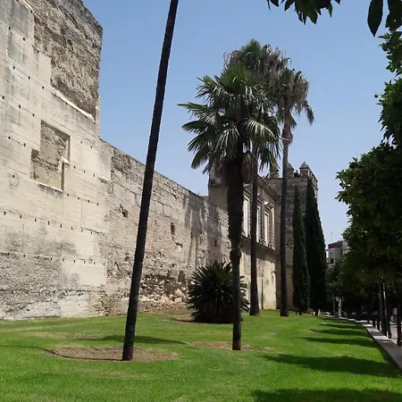 Sherryflat Cisnes جيريز