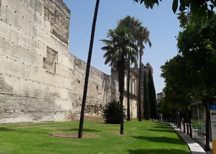 Sherryflat Cisnes جيريز